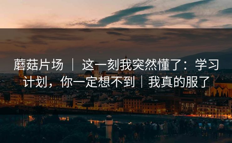 蘑菇片场 ｜ 这一刻我突然懂了：学习计划，你一定想不到｜我真的服了