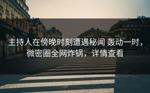 主持人在傍晚时刻遭遇秘闻 轰动一时，微密圈全网炸锅，详情查看