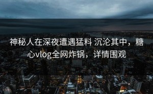 神秘人在深夜遭遇猛料 沉沦其中，糖心vlog全网炸锅，详情围观