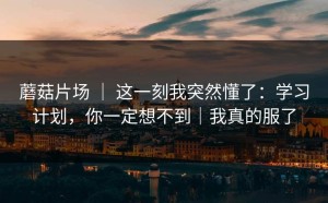 蘑菇片场 ｜ 这一刻我突然懂了：学习计划，你一定想不到｜我真的服了