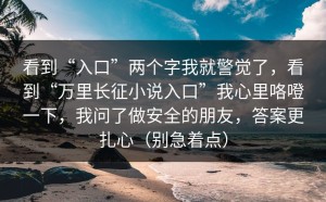 看到“入口”两个字我就警觉了，看到“万里长征小说入口”我心里咯噔一下，我问了做安全的朋友，答案更扎心（别急着点）