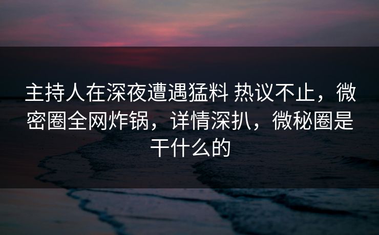 主持人在深夜遭遇猛料 热议不止，微密圈全网炸锅，详情深扒，微秘圈是干什么的